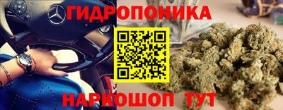 ПСИЛОЦИБИНОВЫЕ ГРИБЫ Гусев