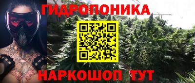 метадон Гай
