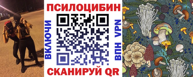 продажа наркотиков  Норильск  Галлюциногенные грибы Psilocybe 
