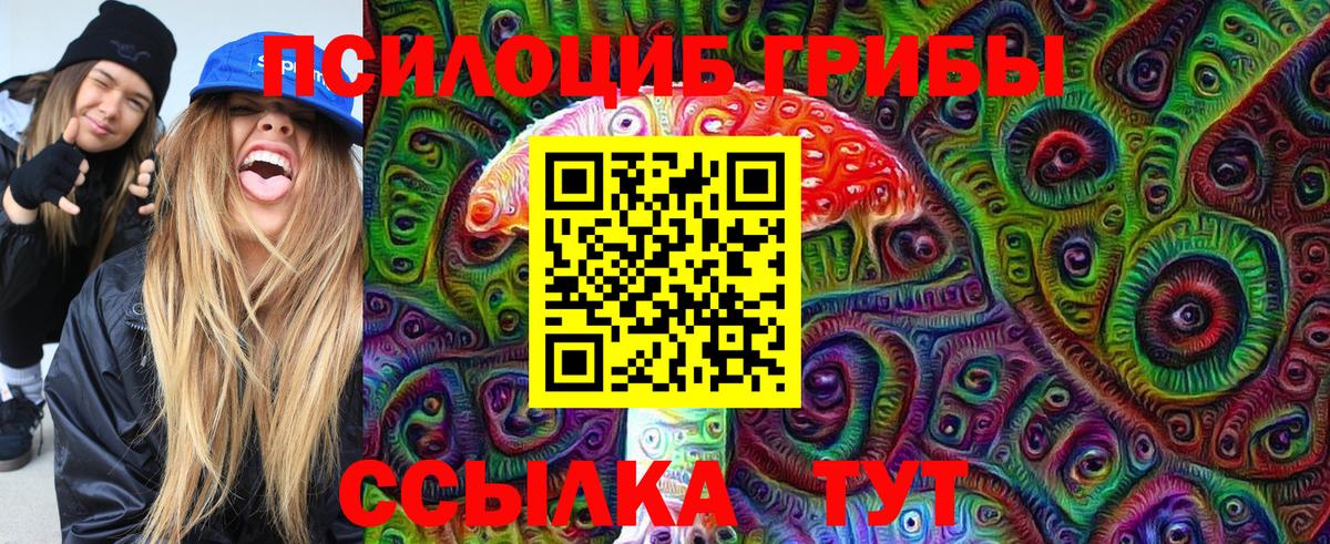 Галлюциногенные грибы мухоморы Норильск