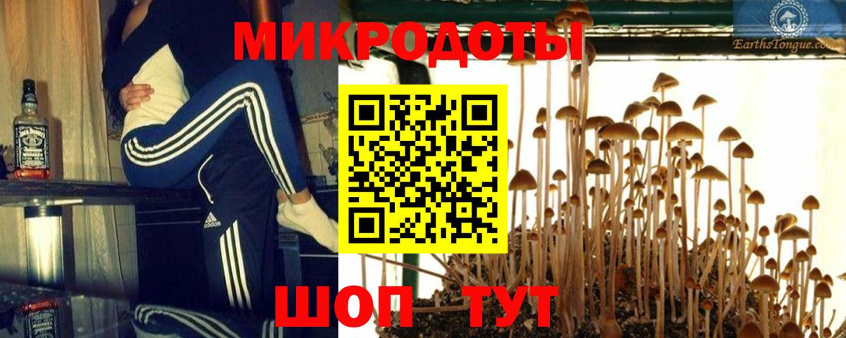 Норильск  Псилоцибиновые грибы GOLDEN TEACHER  Вход с VPN 