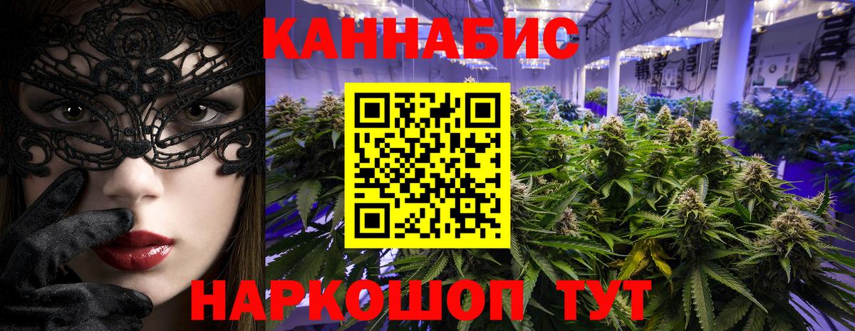 Бошки марихуана тримм  Вход с VPN  Каннабис AK-47  Норильск 